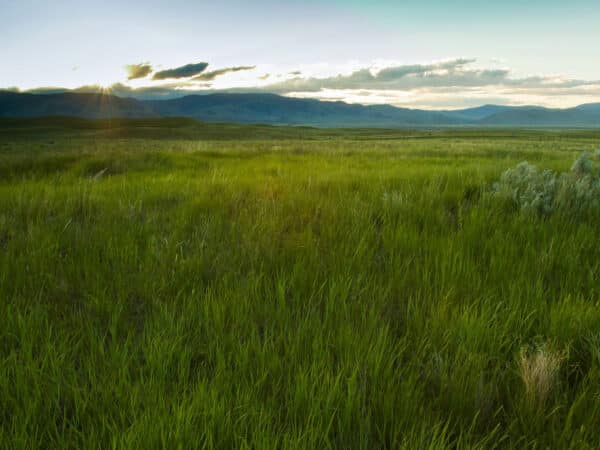A lush green field stretches to the horizon under a setting sun, with distant mountains and a partly cloudy sky beyond. Sun rays peek through the clouds, casting a warm glow over this ideal hunting property and cattle ranch.