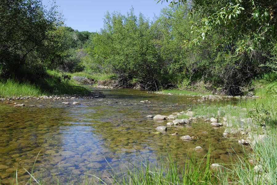 A shallow, clear stream flows gently over smooth rocks, surrounded by lush green grass and dense shrubs under a bright blue sky—perfect for a scenic cattle ranch or hunting property.