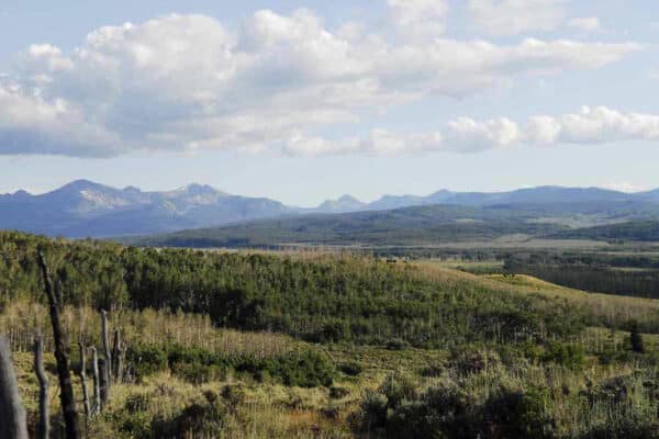 Rolling green hills and dense forests in the foreground, with distant blue mountains under a partly cloudy sky—an ideal cattle ranch or hunting property.