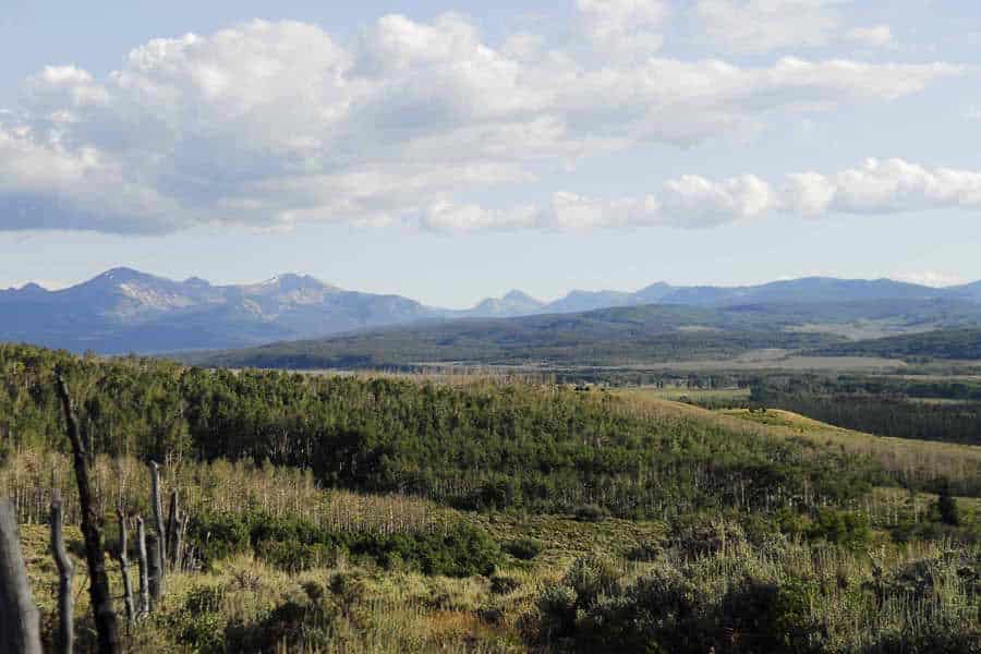 Rolling green hills and dense forests in the foreground, with distant blue mountains under a partly cloudy sky—an ideal cattle ranch or hunting property.