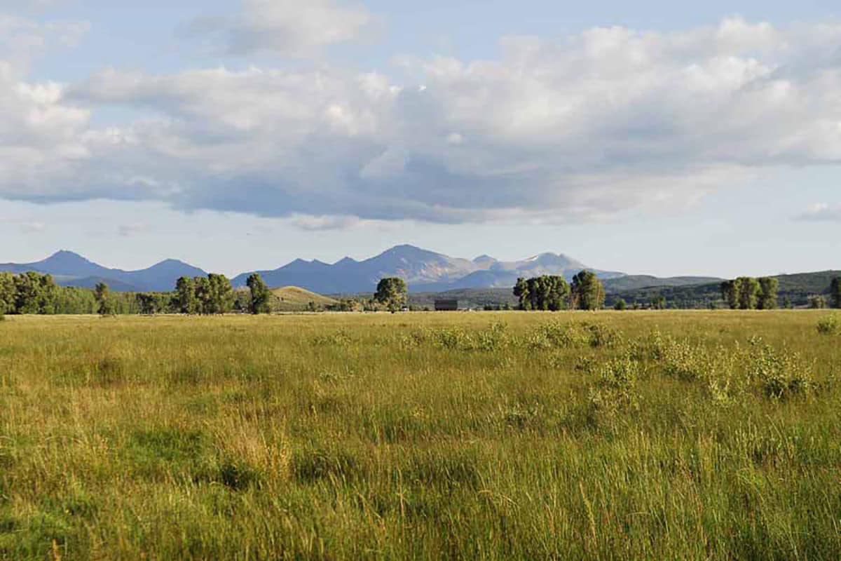 A wide, grassy field stretches toward distant mountains under a partly cloudy sky, with scattered trees dotting this picturesque cattle ranch and sunlight illuminating the scene.