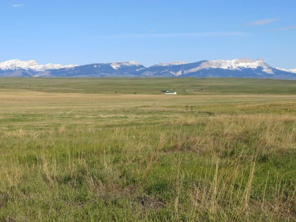 A wide grassy plain with a small farmhouse in the distance and snow-capped mountains under a clear blue sky, ideal for recreational land or use as a cattle ranch.