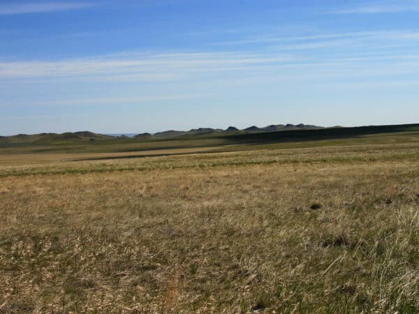 A wide, open grassland under a blue sky with thin clouds. In the distance, low rolling hills stretch along the horizon. This landscape, with its dry yellowish-green grass, is ideal for a cattle ranch or hunting property.