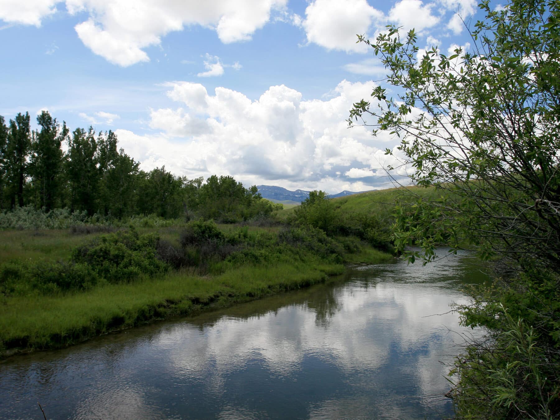 A calm river flows through green grass and shrubs, bordered by leafy trees under a blue sky with white clouds reflected on the water’s surface. Distant hills rise in the background, making this ideal recreational land for sale.