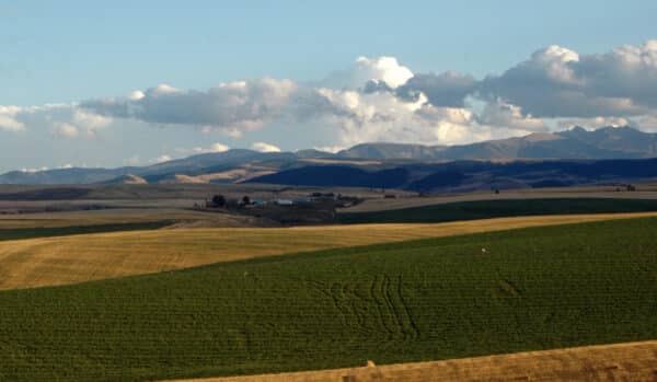 Rolling green and golden fields stretch into the distance, with a farm nestled among them. In the background, blue mountains rise under a partly cloudy sky. The peaceful scene highlights ideal recreational land or a potential ranch for sale.