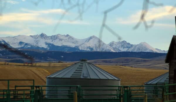 Grain silos and green fencing sit in a golden field, ideal for recreational land, with snow-capped mountains and blue sky in the background; blurred branches hang at the top of the image.