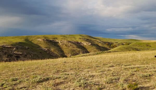 Gently rolling grassy hills under a partly cloudy sky, with sunlight casting a warm glow on the landscape. Sparse patches of vegetation cover this beautiful recreational land for sale, and rocky outcrops are visible along the slopes.