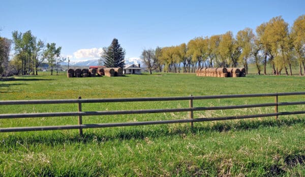 A grassy field with hay bales stacked in rows, a wooden fence in the foreground, and a farmhouse and trees beyond—perfect recreational land or cattle ranch with snow-capped mountains under a clear blue sky.