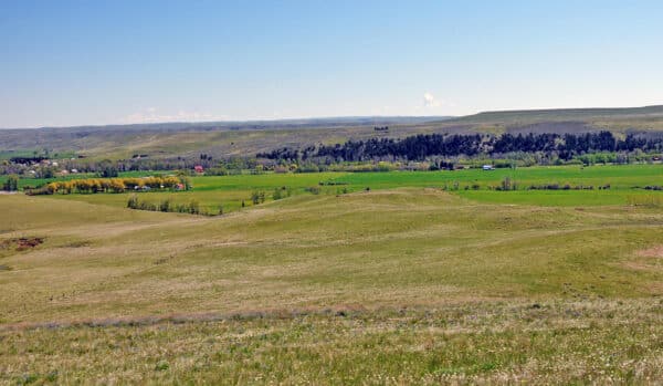 Rolling green hills under a clear blue sky, with patches of trees and a few scattered buildings in the distance, create a peaceful rural landscape—ideal for a cattle ranch or recreational land.