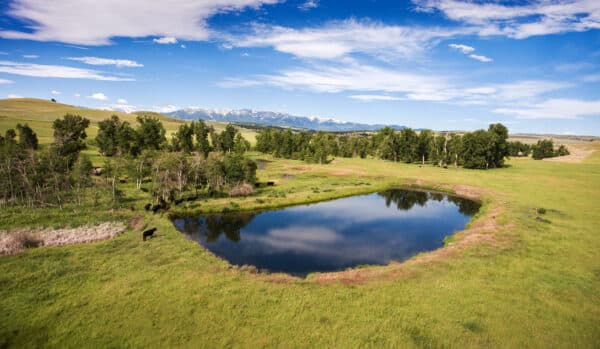 A small, reflective pond surrounded by green grass and trees under a blue sky with scattered clouds. Snow-capped mountains rise in the distant background, perfect for recreational land or a scenic cattle ranch.