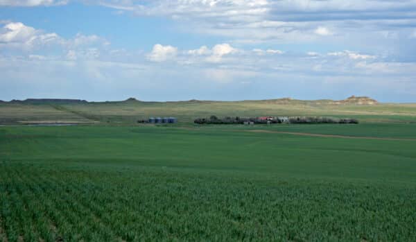 A wide, green field stretches into the distance under a partly cloudy sky. Silos and a small cluster of buildings and trees sit in the middle ground, with gentle hills on the horizon—ideal recreational land or potential cattle ranch.