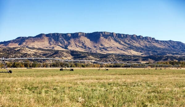 A large irrigation system stretches across a grassy field on a cattle ranch, with a rugged, flat-topped mountain in the background under a clear blue sky.