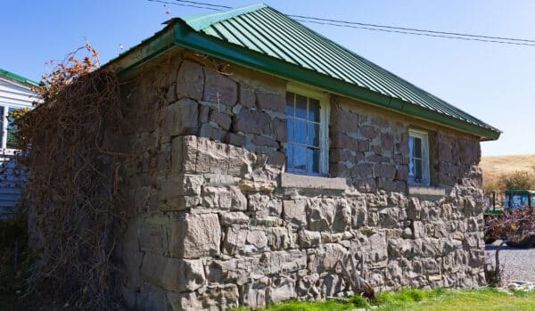 Small stone building with a green metal roof, two windows with white trim, and dried vines climbing one side. The sun casts shadows on the walls, highlighting this charming spot on a cattle ranch for sale with grass in the foreground.