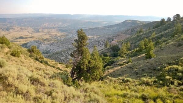 A scenic view of rolling hills covered with grass and scattered trees under a hazy sky, with distant mountains in the background—ideal recreational land or potential cattle ranch.