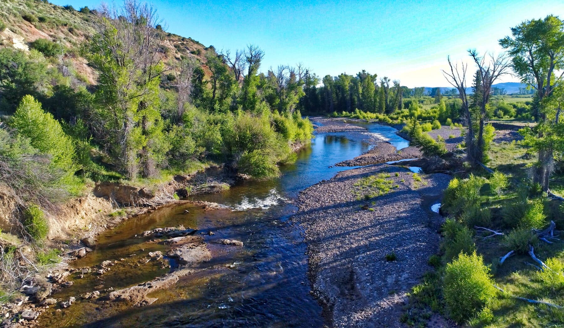 A clear river winds through a forested landscape with lush green trees on both banks, a rocky shoreline, and hills in the background under a bright blue sky—perfect as a scenic hunting property or cattle ranch for sale.