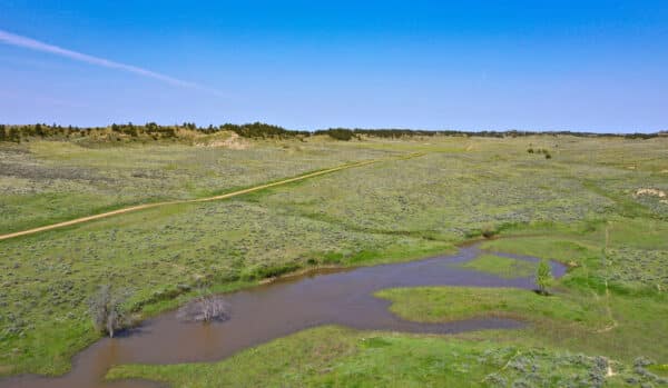A winding dirt road crosses a vast, grassy plain with rolling hills under a clear blue sky—ideal as a cattle ranch or hunting property. A small pond with green vegetation sits in the foreground, while sparse trees dot the distant landscape.
