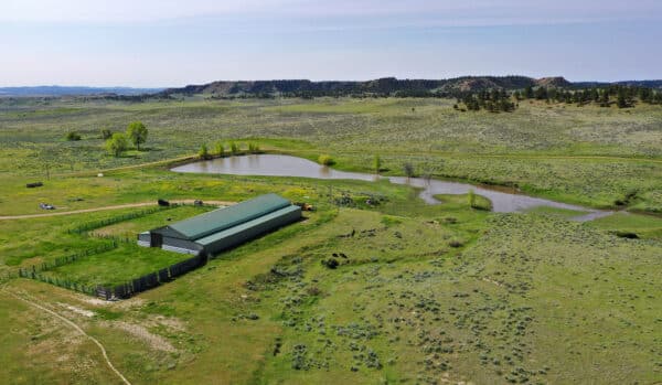 Aerial view of a green-roofed barn on a cattle ranch, surrounded by fenced pasture, grazing cattle, a pond, and open grassy fields with scattered trees and distant hills under a clear sky. Ideal land for sale.