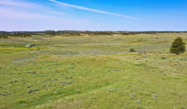 Grassland farming and grazing ranch Montana
