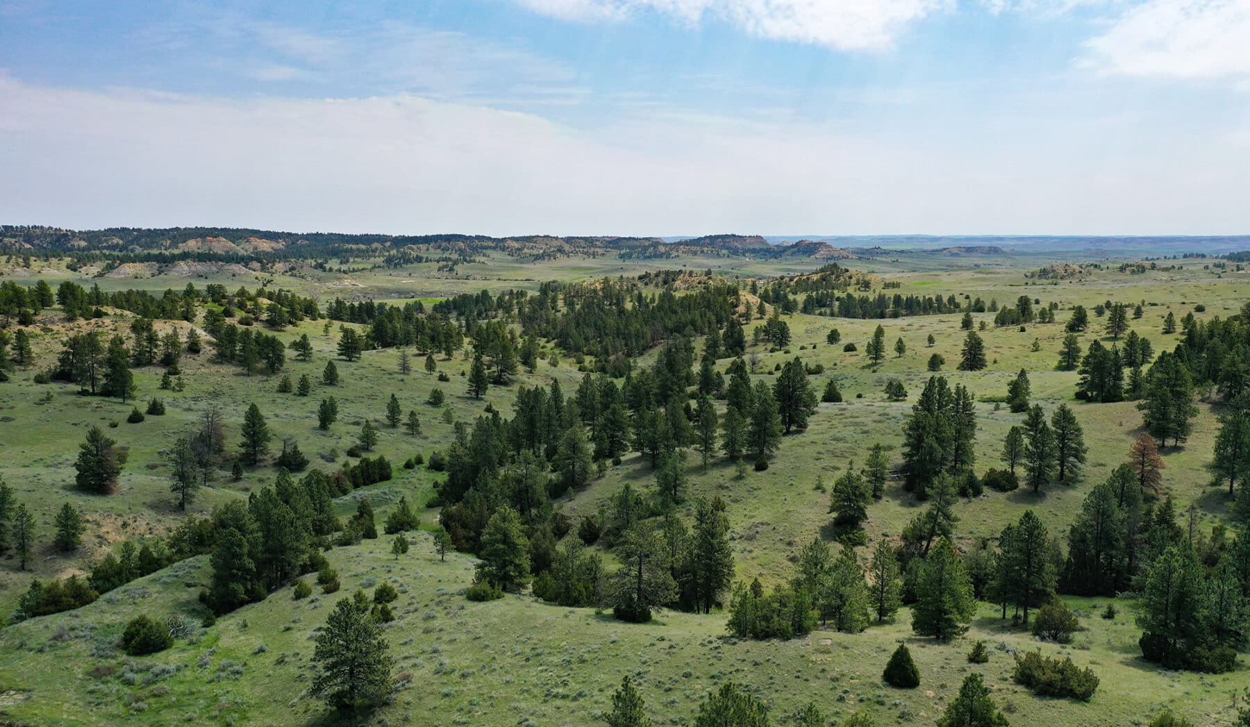 an estate ownership with both the farming and grazing