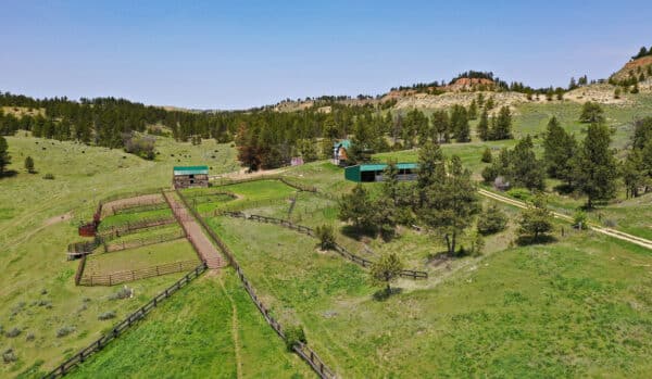 Aerial view of a rural ranch for sale with fenced pastures, green grass, scattered trees, several barns, and rolling hills under a clear blue sky.