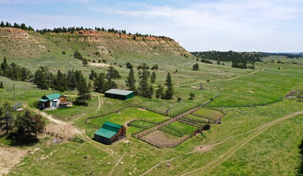 Leidholt Ranch is a low-overhead cattle operation