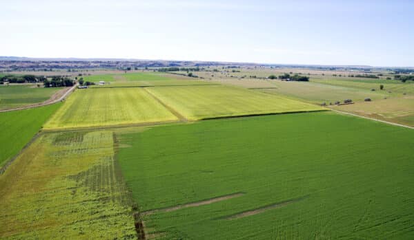 Aerial view of large, flat farmland with green and yellow crop fields divided by dirt roads; ideal as hunting property or recreational land, with distant trees and low hills under a clear blue sky.