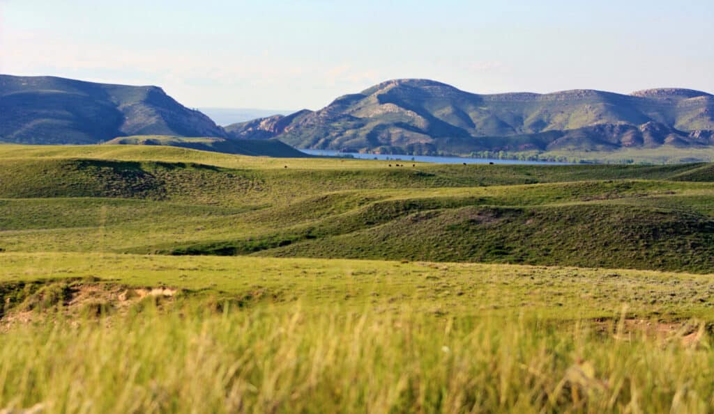 Rolling green hills stretch into the distance, with scattered grass and sparse trees, beneath a backdrop of rocky, sunlit mountains under a clear sky—ideal recreational land or hunting property.
