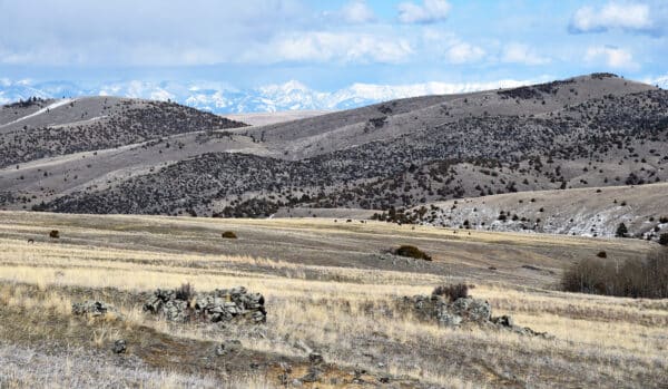 A wide view of rolling, dry hills covered with sparse grass and shrubs, featuring rocky outcrops in the foreground and snow-capped mountains in the background—ideal recreational land or hunting property under a partly cloudy sky.