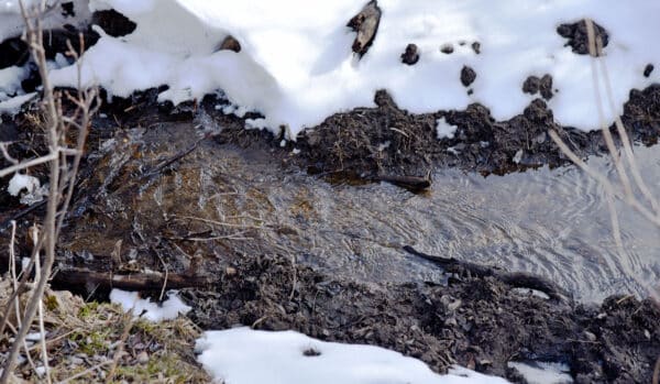A small stream flows through partially snow-covered ground on this recreational land, with patches of exposed soil and mud along the bank. Sparse vegetation is visible around the edges.