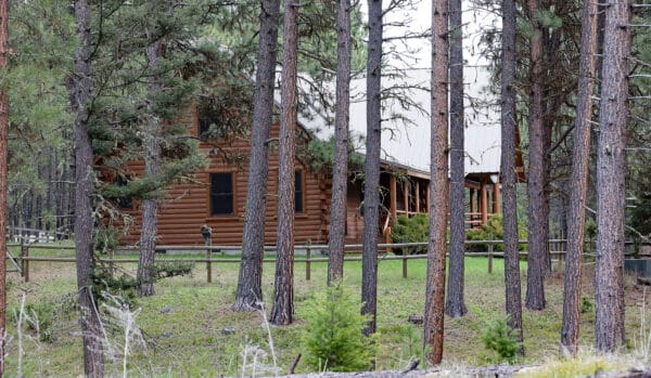 A wooden log cabin with a metal roof is nestled among tall pine trees and green grass, surrounded by a wooden fence in a forested area—ideal as a hunting property or cattle ranch.