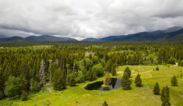 Aerial view of lush green recreational land with a small pond in the center, surrounded by trees and grassy fields under a cloudy sky with distant mountains in the background—an ideal ranch for sale.