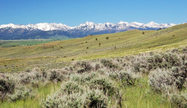 Rolling grassy hills and sagebrush stretch toward distant snow-capped mountains under a clear blue sky. Green fields and scattered trees dot this peaceful recreational land, making it ideal cattle ranch land for sale.