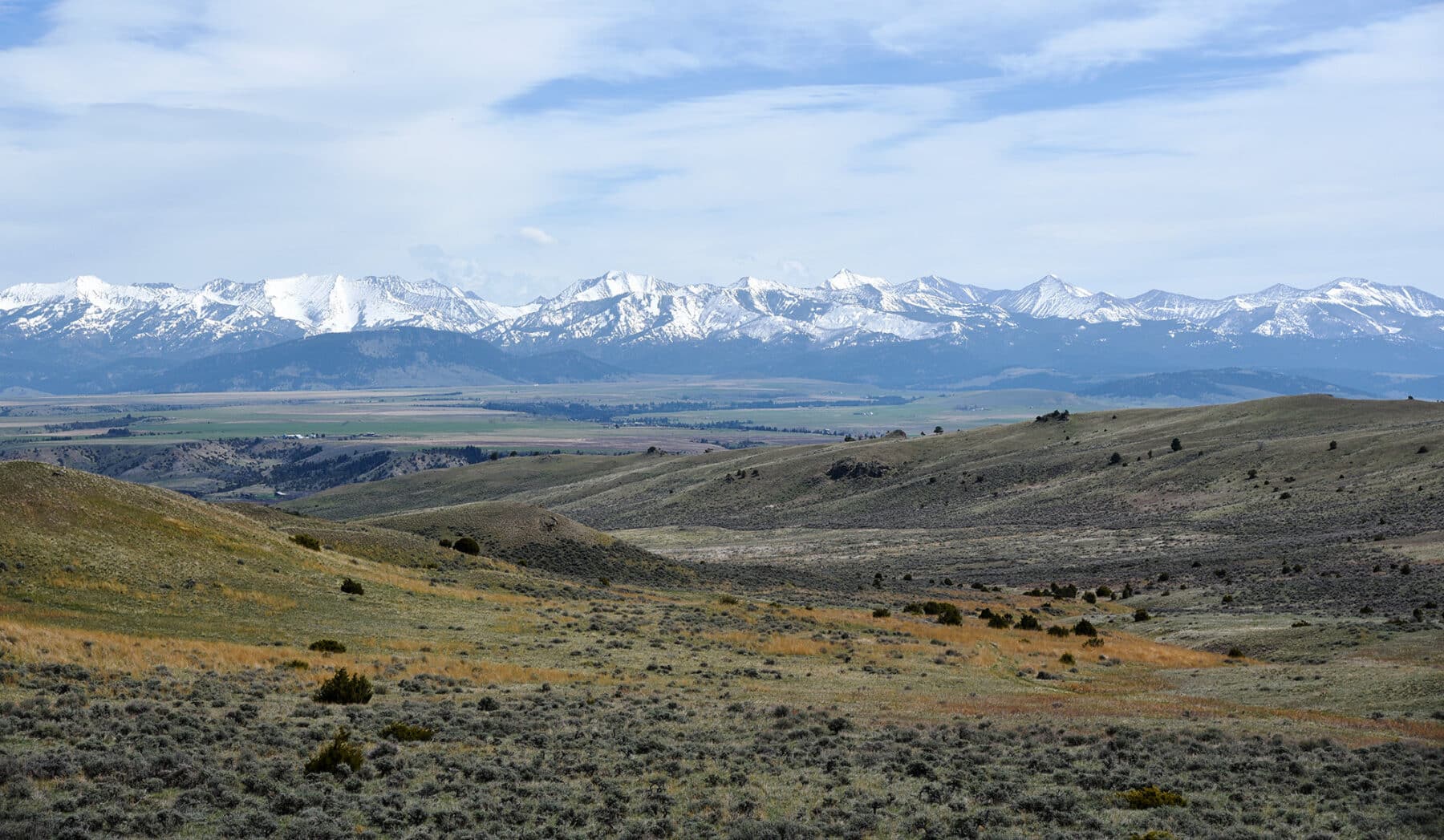 A wide landscape view of rolling grassy hills, ideal recreational land with scattered shrubs in the foreground and snow-capped mountains in the background under a partly cloudy sky.