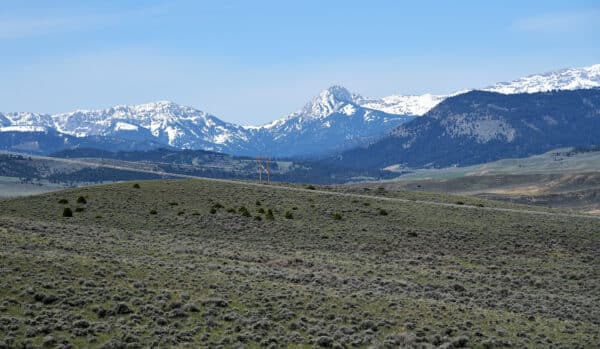 Rolling grassy hills with a road winding through them, perfect for a cattle ranch or hunting property, set against tall, snow-capped mountains beneath a clear blue sky.