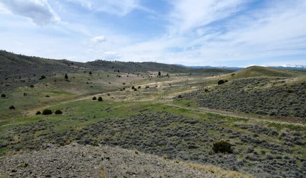 Rolling hills with sparse green grass and shrubs stretch beneath a partly cloudy sky, distant mountains on the horizon. A winding dirt path crosses this scenic landscape, perfect for a cattle ranch or those seeking land for sale.