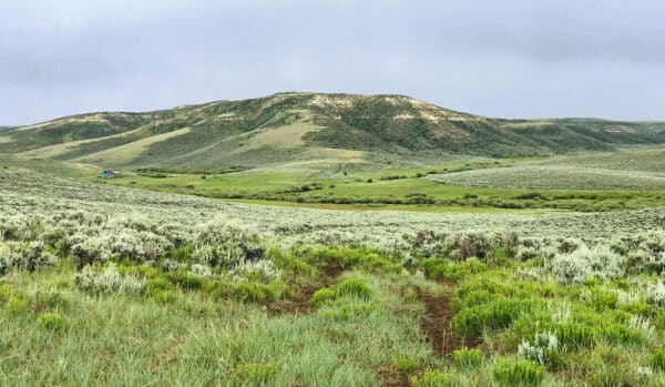 Rolling green hills covered in grass and sagebrush under a cloudy sky, with a small colorful house visible in the distance to the left. This lush, open landscape offers ideal recreational land or a potential cattle ranch stretching toward a hill in the background.