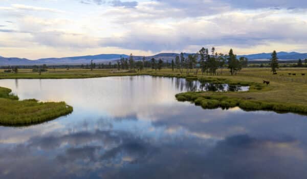 A tranquil lake reflects the blue sky and clouds, surrounded by green grass, trees, and distant mountains under a soft sunset. Cattle graze near the shoreline—perfect as a ranch for sale or versatile hunting property.