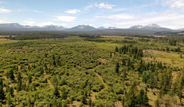 A wide, green valley with scattered trees and shrubs, bordered by dense forests and distant mountain peaks under a partly cloudy sky—ideal ranch for sale.