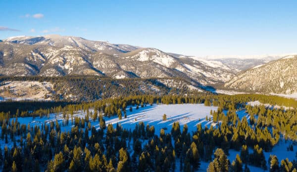 Aerial view of a snowy mountain landscape with dense evergreen forests, scattered clearings, and sunlight casting long shadows—ideal land for sale as a secluded hunting property beneath a clear blue sky.