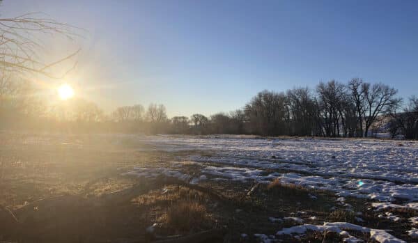 The sun is low in a clear sky over a snowy, partially thawed field—ideal recreational land with bare trees in the distance and scattered branches on the ground. Perfect spot to consider for your future cattle ranch or land for sale opportunity.