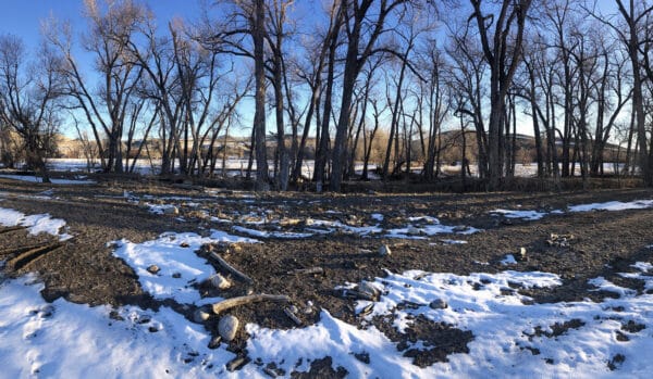 A winter landscape with patches of snow and bare trees under a clear blue sky—scattered rocks and fallen branches dot this potential hunting property. Rolling hills rise in the background, ideal for a cattle ranch or land for sale seekers.