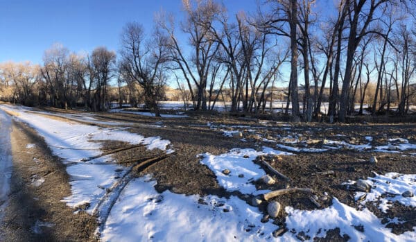 A dirt road runs alongside a snowy, partially thawed field with scattered bare trees under a clear blue sky—ideal land for sale with visible tire tracks in the snow and mud, perfect for a hunting property or ranch.
