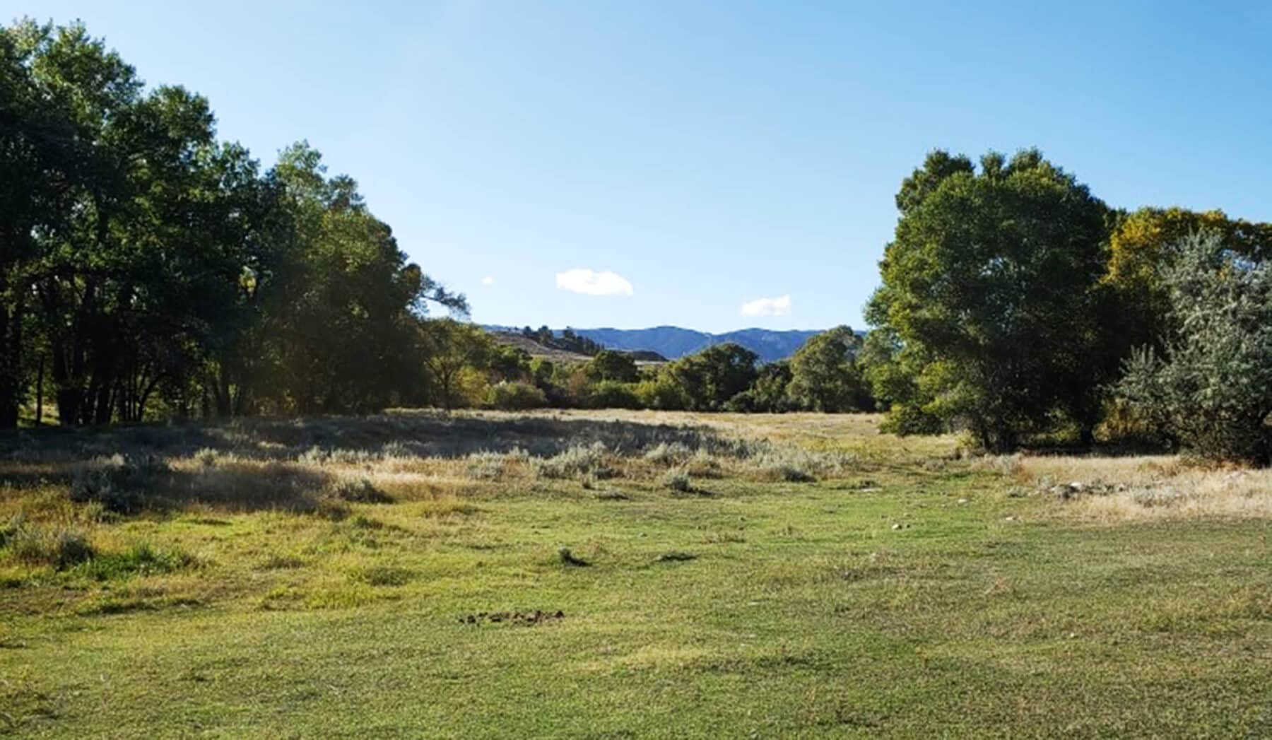 Grassy field with patches of dry grass, surrounded by green trees under a clear blue sky. Mountains are visible in the distance, making this scenic recreational land an ideal ranch for sale.