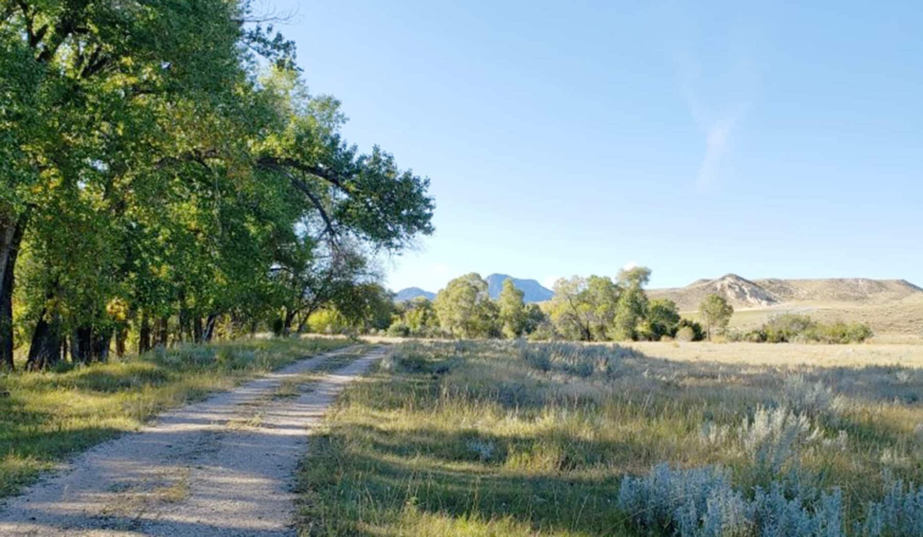 A dirt path winds through a grassy field bordered by trees, with distant hills and mountains under a clear blue sky—ideal recreational land or hunting property.