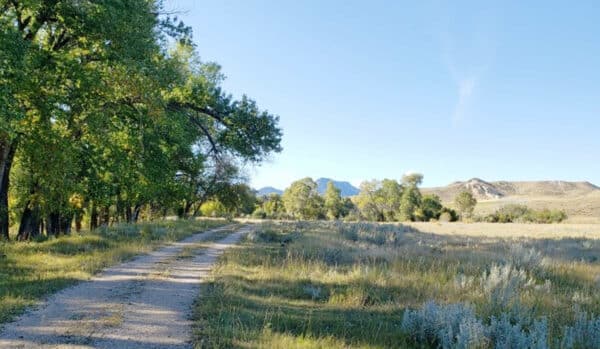 A dirt path winds through a grassy field bordered by trees, with distant hills and mountains under a clear blue sky—ideal recreational land or hunting property.