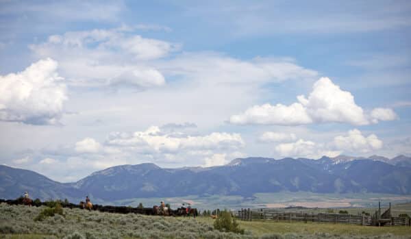 Cowboys on horseback herd cattle across open plains with mountains and a blue sky filled with clouds in the background. A wooden fence is visible to the right, highlighting an expansive ranch for sale.