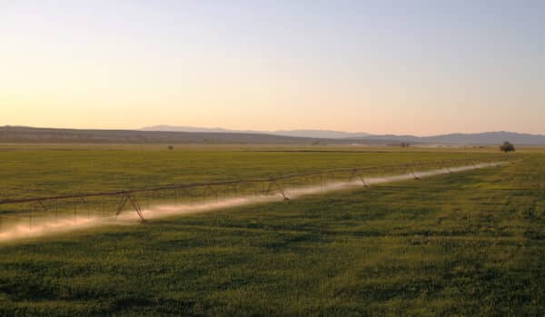 A large green field on a ranch for sale is irrigated by a long pivot sprinkler system, with mist rising in the early morning or late afternoon light and distant mountains on the horizon.