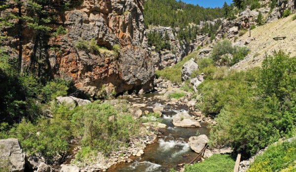 A river flows through a rocky canyon surrounded by green shrubs, trees, and steep cliffs under a clear blue sky—an ideal setting for a cattle ranch or hunting property.