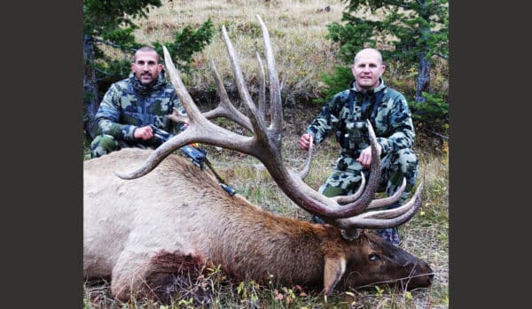 Two people in camouflage clothing kneel on grass beside a large elk with impressive antlers, lying on its side. Trees and brush in the background suggest a forested area, ideal for a cattle ranch or land for sale.