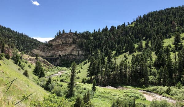 A scenic mountain landscape with a river winding through green hills and dense pine forests under a clear blue sky. A rocky cliff and a bridge are visible in the background, offering an ideal setting for a picturesque cattle ranch or land for sale.
